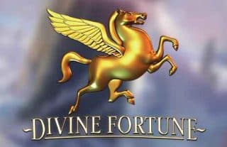 divine fortune slot